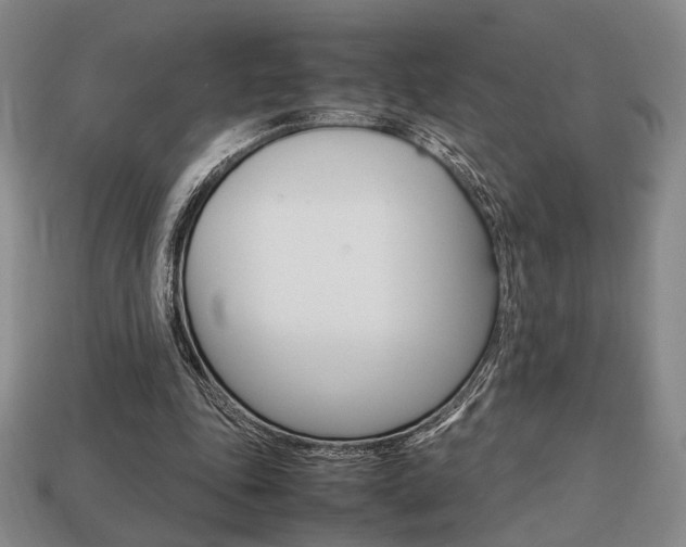 X0000113850343200909241010