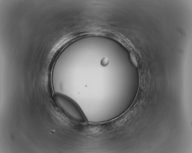 X0000113850344200909241010