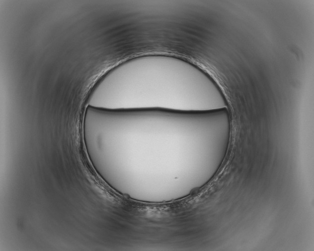 X0000113850345200909241010