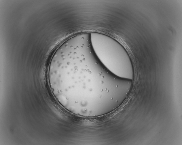 X0000113850346200909241010