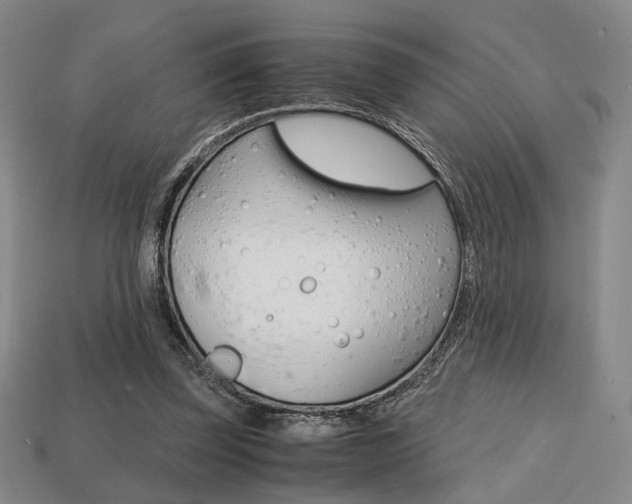 X0000113850347200909241010