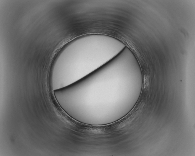 X0000113850349200909241010