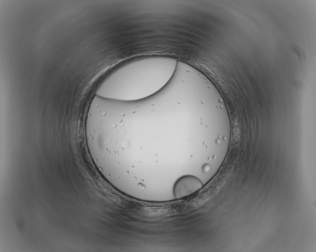 X0000113850351200909241010