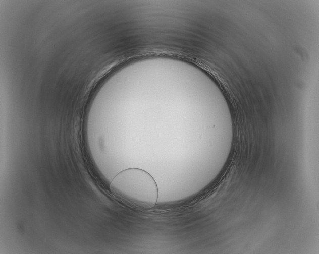 X0000113850352200909241010