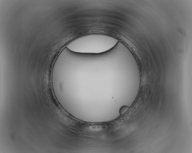 X0000113850353200909241010