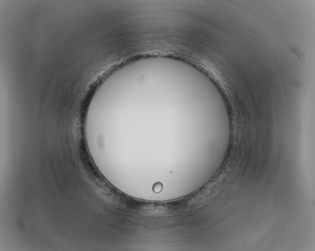 X0000113850354200909241010