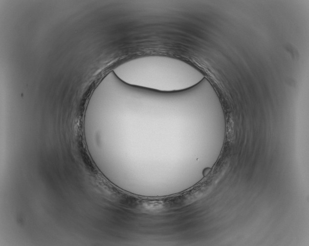 X0000113850355200909241010