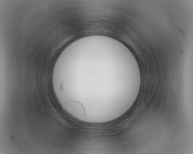 X0000113850356200909241010