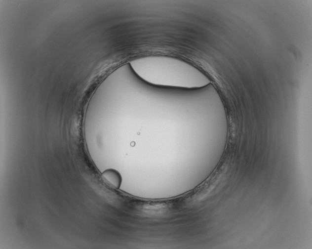 X0000113850357200909241010