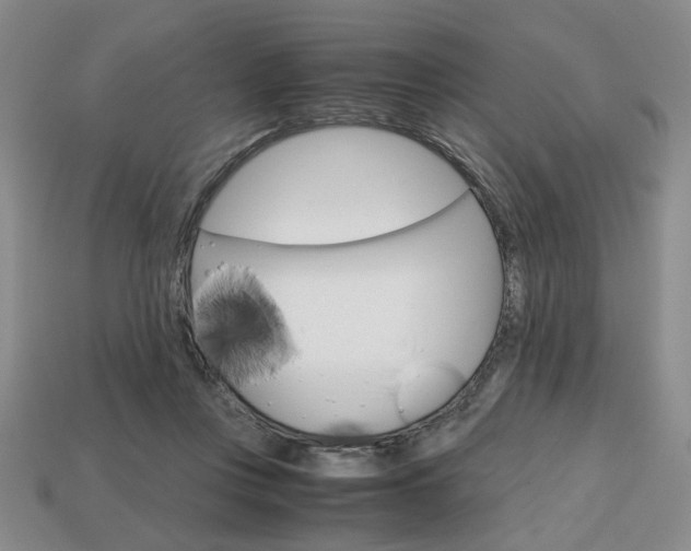 X0000113850359200909241010