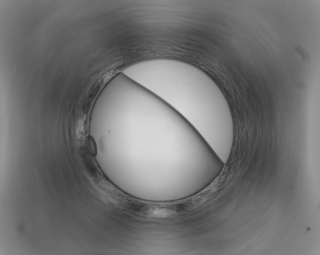 X0000113850360200909241010