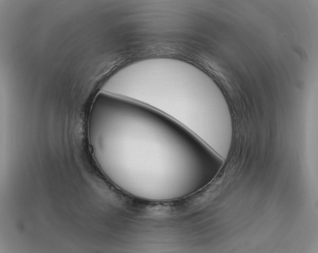 X0000113850362200909241010