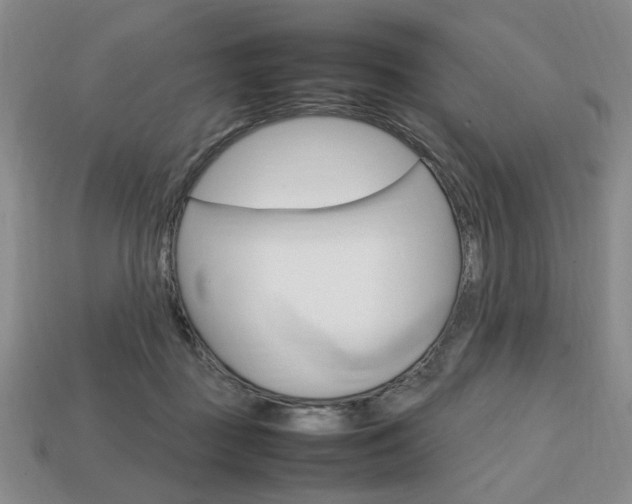 X0000113850363200909241010