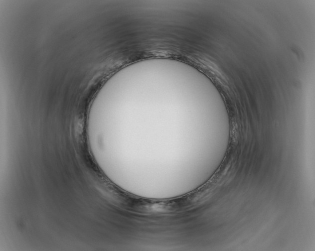 X0000113850365200909241010