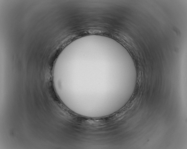 X0000113850367200909241010