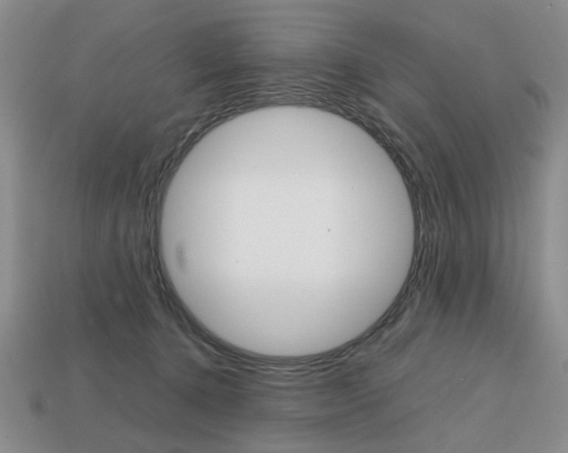 X0000113850368200909241010