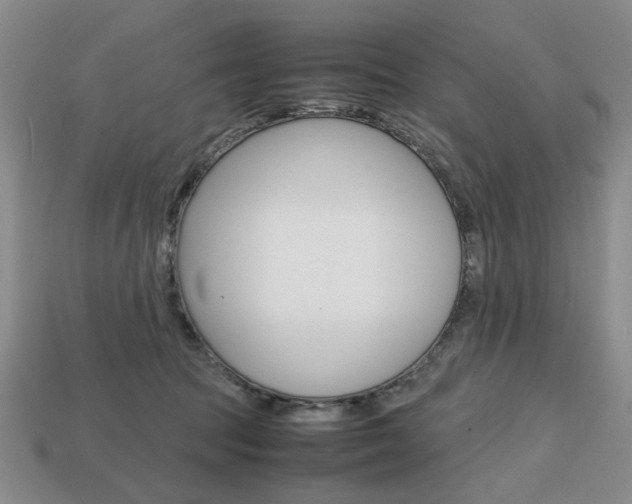 X0000113850369200909241010