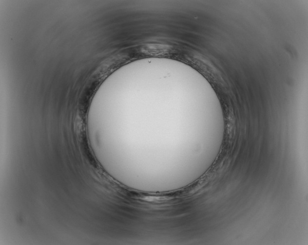 X0000113850371200909241010