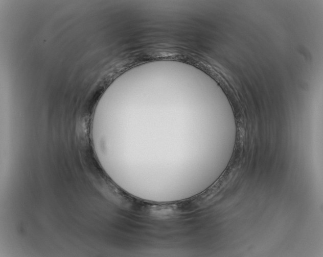 X0000113850373200909241010