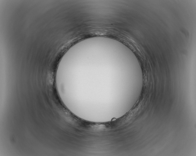 X0000113850374200909241010