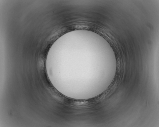 X0000113850375200909241010