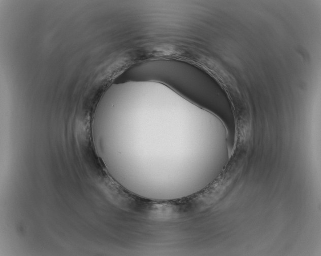 X0000113850376200909241010