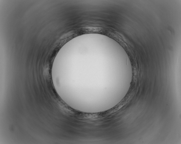 X0000113850377200909241010