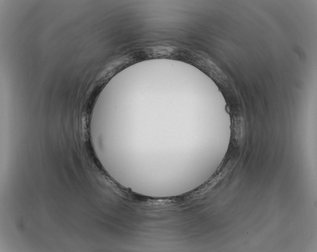 X0000113850378200909241010