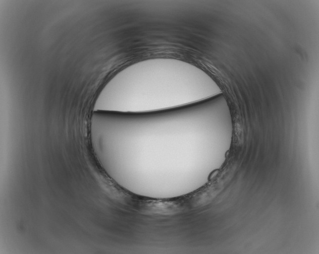 X0000113850379200909241010