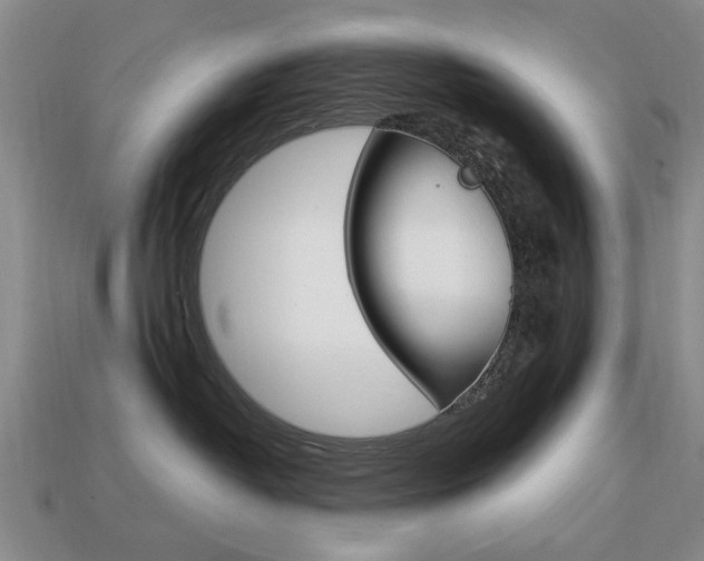 X0000113850382200909241010