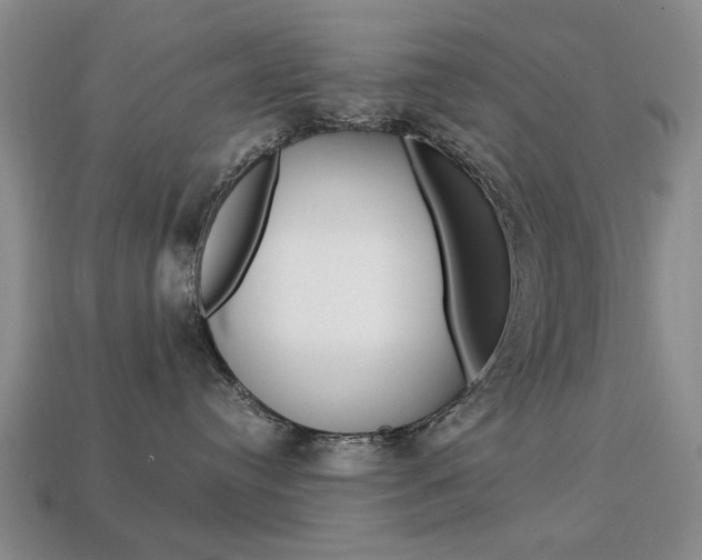 X0000113850384200909241010