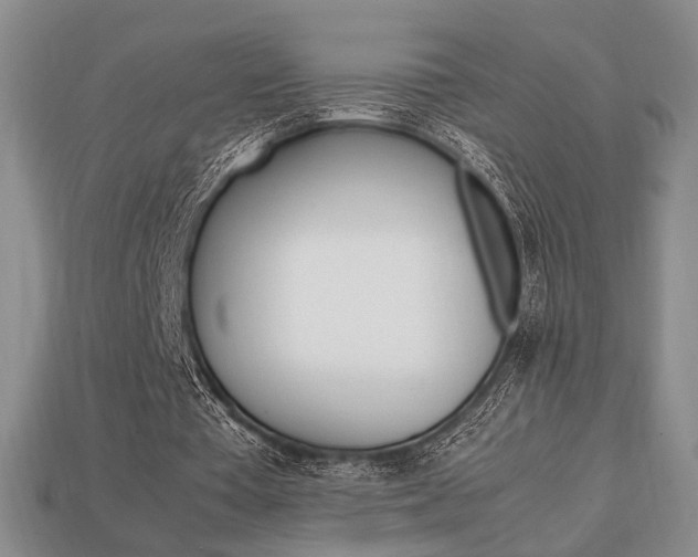 X0000113850385200909241010