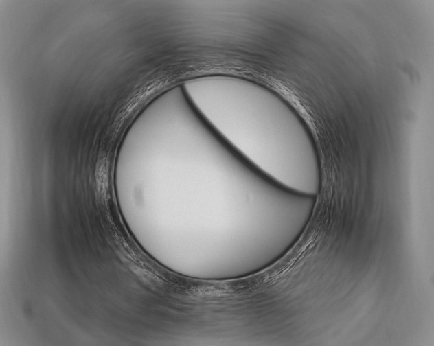 X0000113850386200909241010