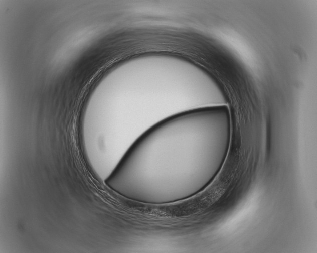 X0000113850387200909241010