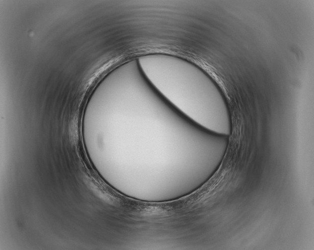 X0000113850390200909241010