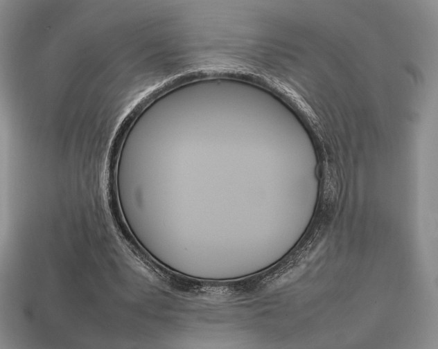 X0000113850391200909241010