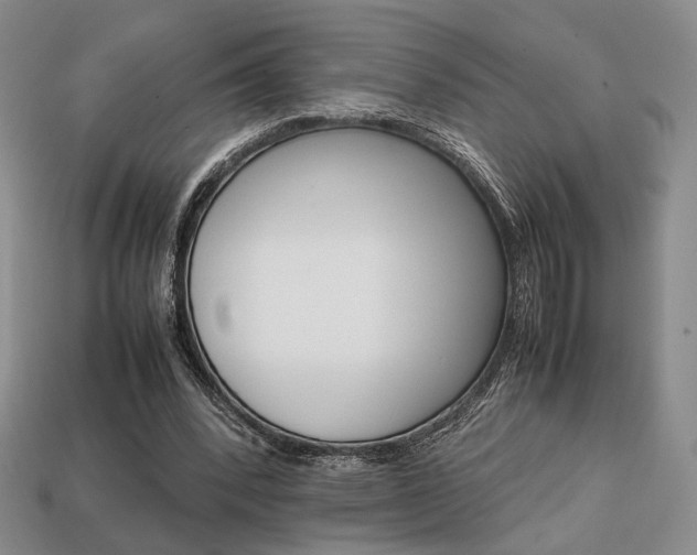 X0000113850392200909241010