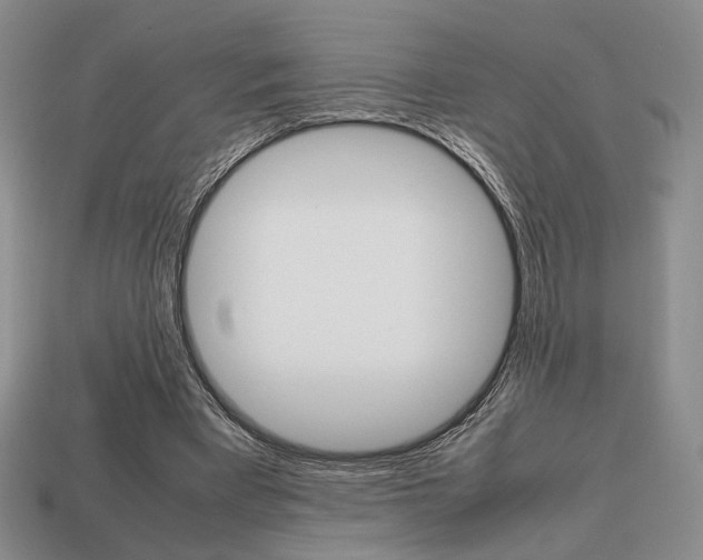 X0000113850393200909241009