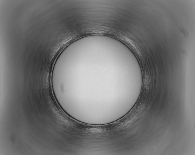 X0000113850394200909241009