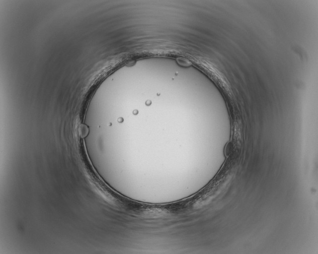 X0000113850397200909241009