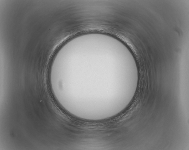 X0000113850399200909241009