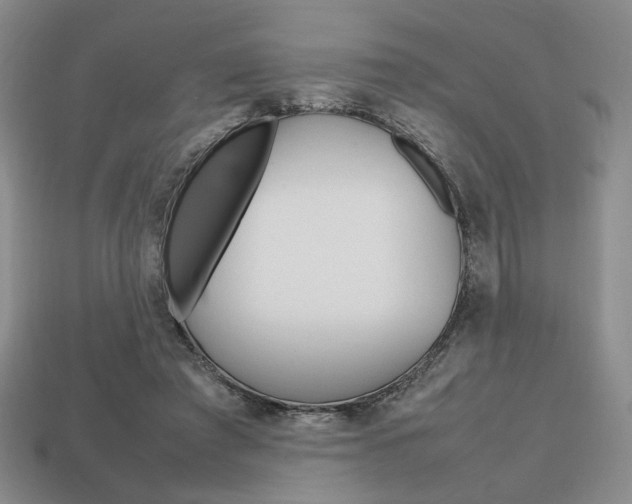 X0000113850401200909241009