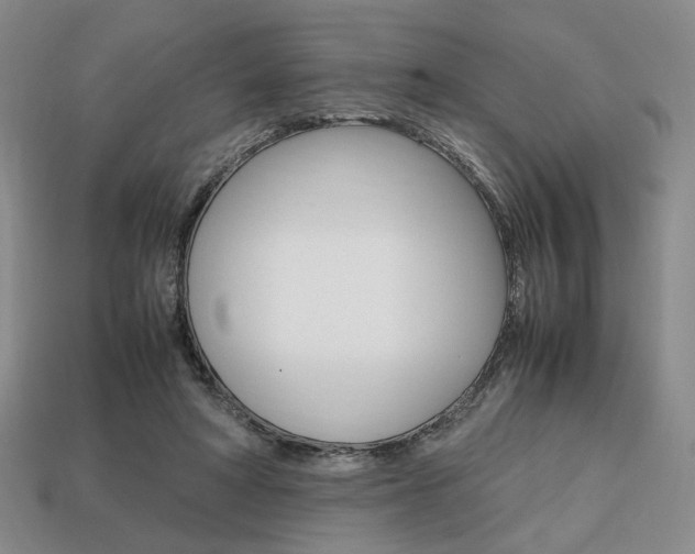 X0000113850402200909241009