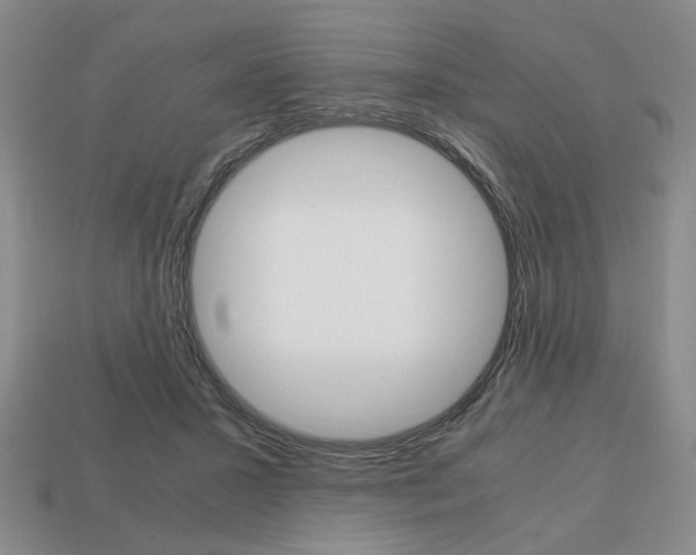 X0000113850407200909241009