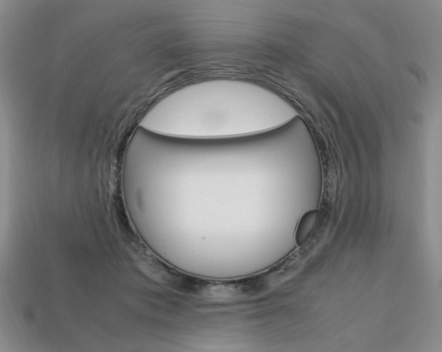 X0000113850413200909241009