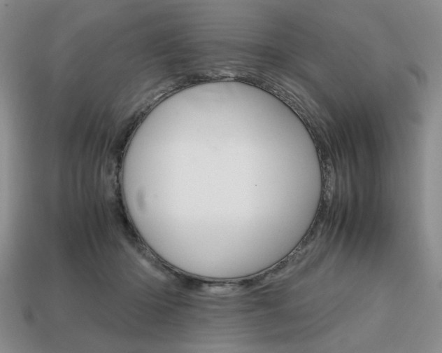 X0000113850414200909241009