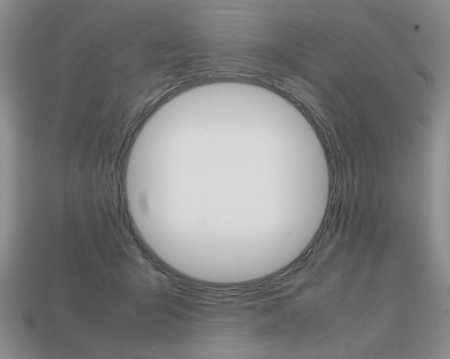 X0000113850415200909241009