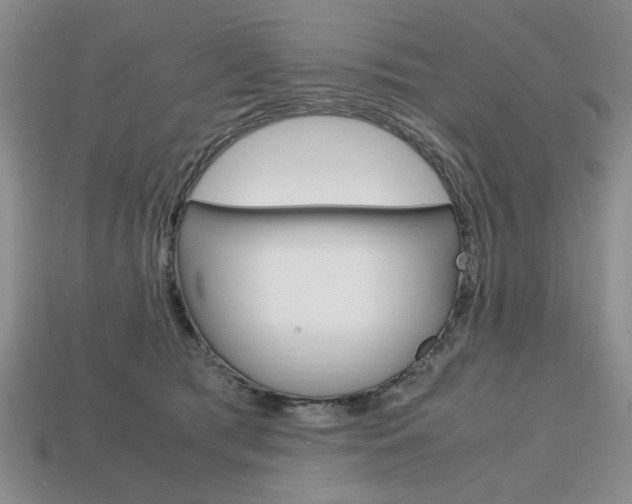 X0000113850417200909241009