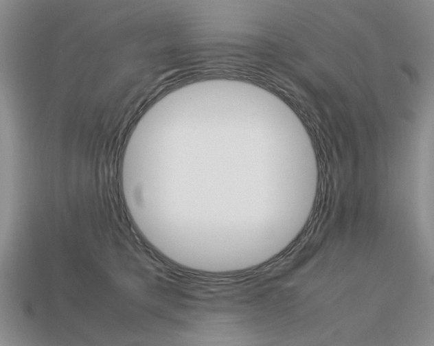 X0000113850421200909241009