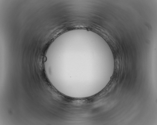 X0000113850422200909241009